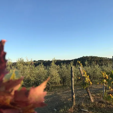 Giaggiolo * Poggibonsi