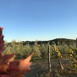 Giaggiolo * Poggibonsi