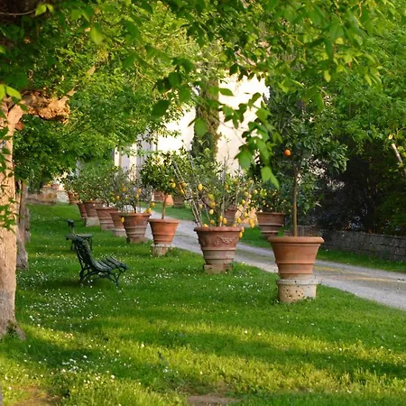 Giaggiolo * Poggibonsi