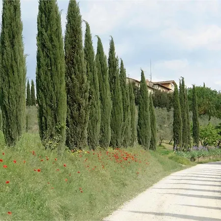 Giaggiolo